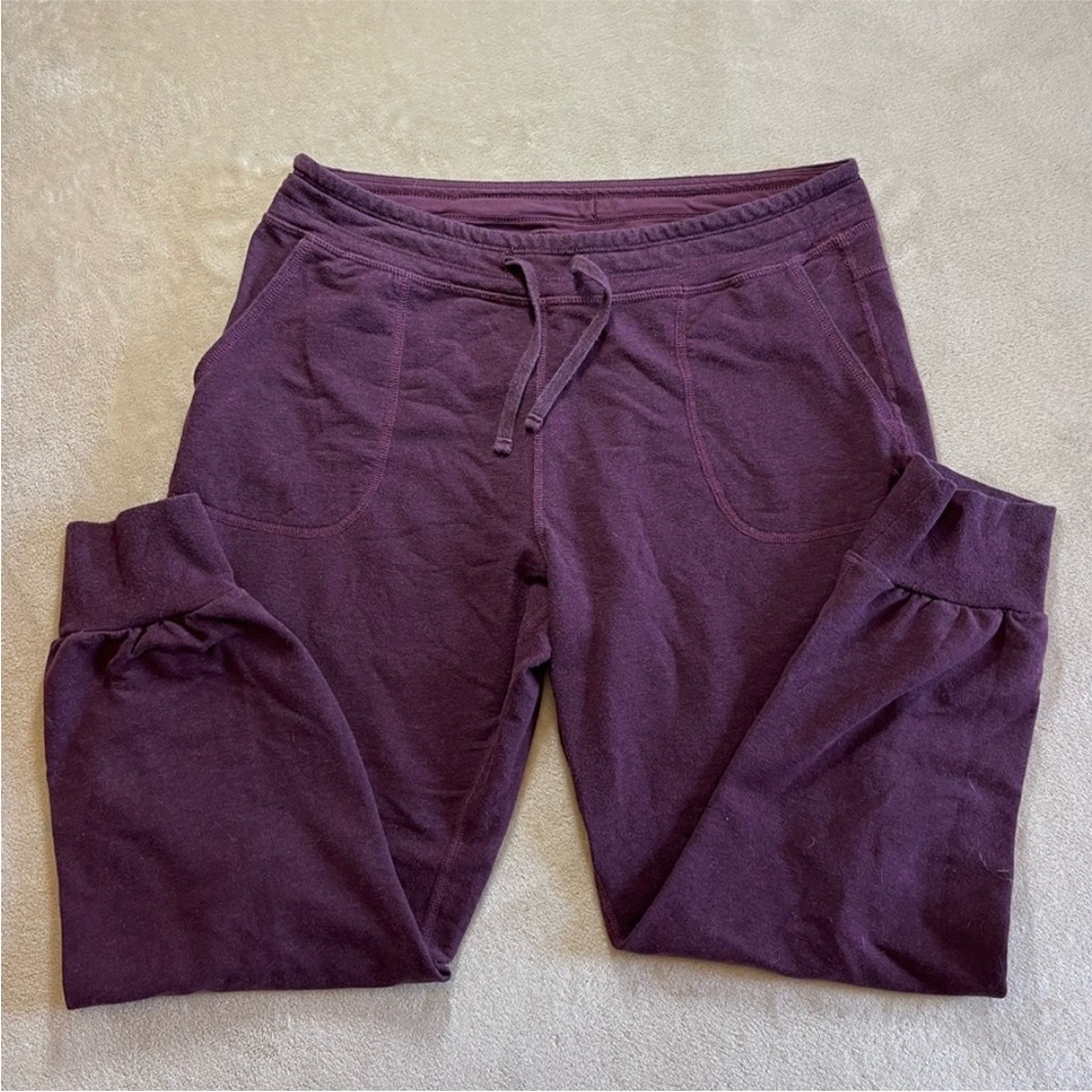 Patagonia sweat pants